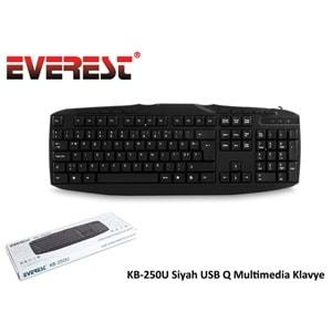 Everest KB-250U Siyah USB Q Multimedia Klavye