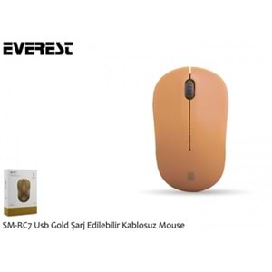 Everest SM-RC7 Usb Gold Şarj Edilebilir Kablosuz Mouse