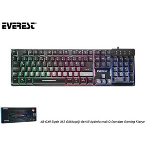 Everest KB-GX9 Siyah USB Gökkuşağı Aydınlatmalı Q Standart Gaming