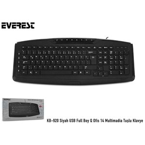 Everest KB-920 Siyah USB Q Multimedia Klavye