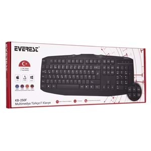 Everest KB-250F Siyah USB Tamamen Türkçe F Multimedia Klavye